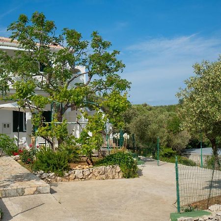Ferienwohnung Kuca Za Odmor Denona Borovići Exterior foto